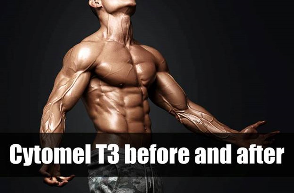 Cytomel T3 Before And After: How It Works