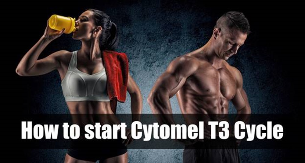 How to Get the Best Results on Cytomel T3 Cycle