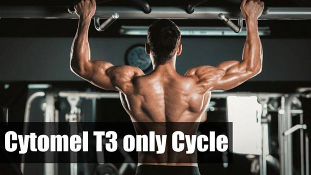 How to start Cytomel T3 Cycle