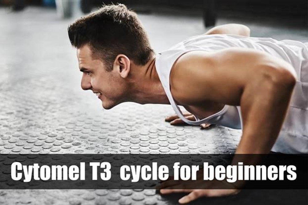 What cycle for beginners?