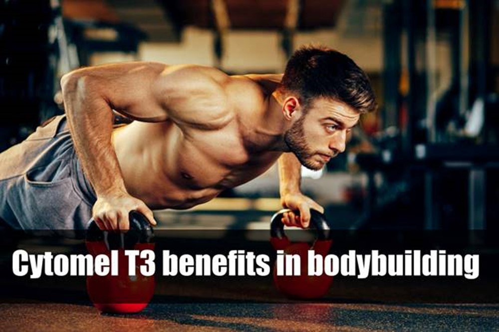 Cytomel T3 benefits in bodybuilding: what positive effects can expect