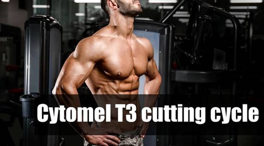 What is Cytomel T3 cutting cycle?