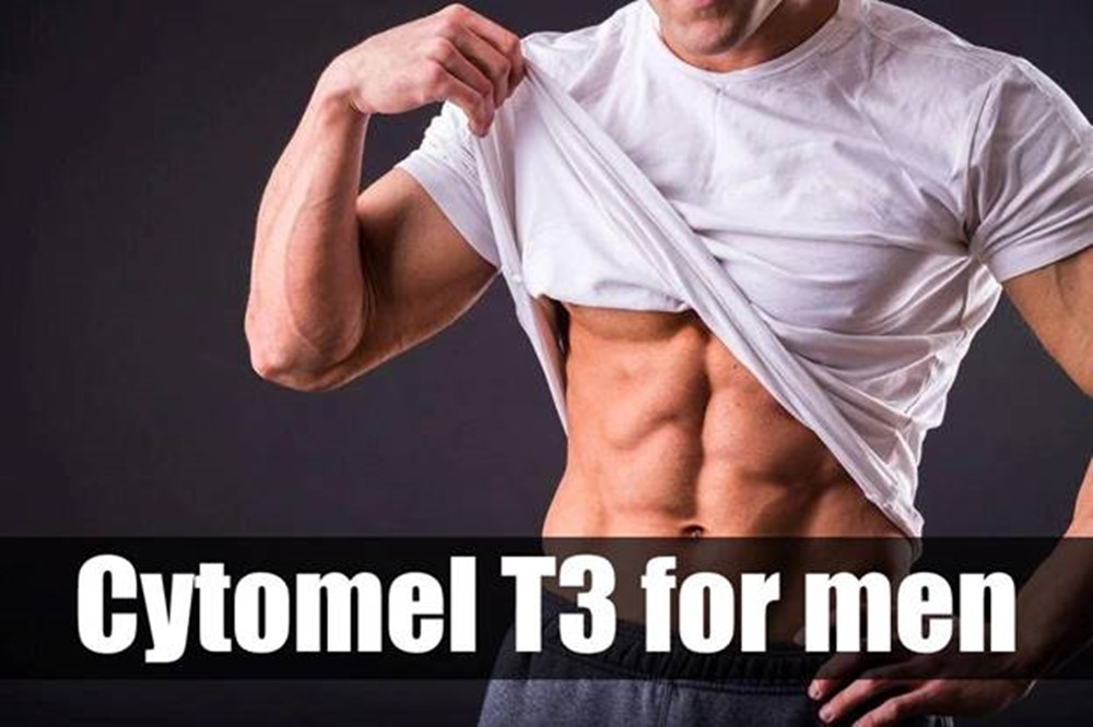 Cytomel T3 for Men: Effects, Cycle and Dosage