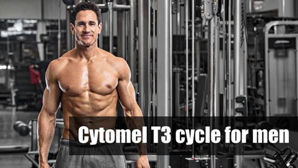 Cycle for men: how to take Cytomel T3