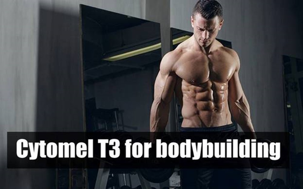 Application Cytomel T3 for Bodybuilding